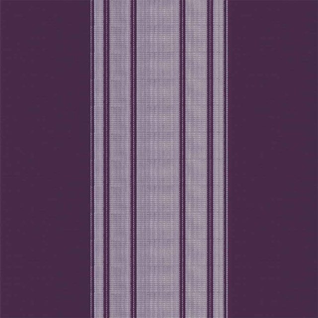 Stripe Purple